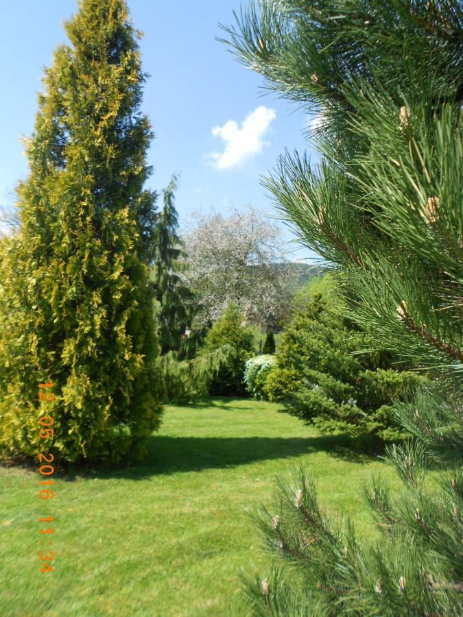 Agroturystyka Zielony Ogrod Scinawka Srednia Exterior foto