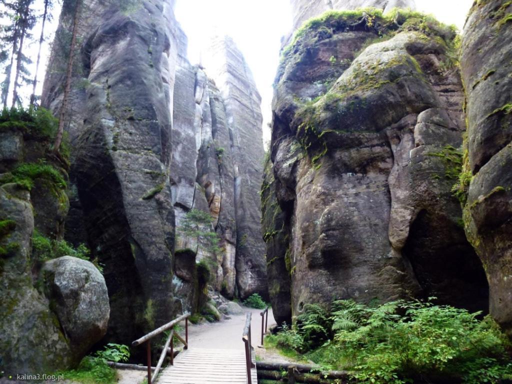 Agroturystyka Zielony Ogrod Scinawka Srednia Exterior foto